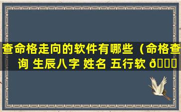 查命格走向的软件有哪些（命格查询 生辰八字 姓名 五行软 🐎 件）